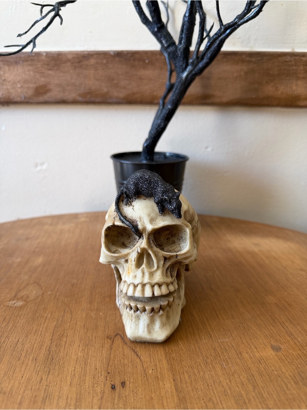 Halloween Skull Figurine with Black glitter  Rat Accent
